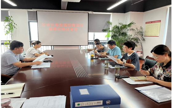 區(qū)委審計委到國投集團(tuán)開展審計整改督查工作