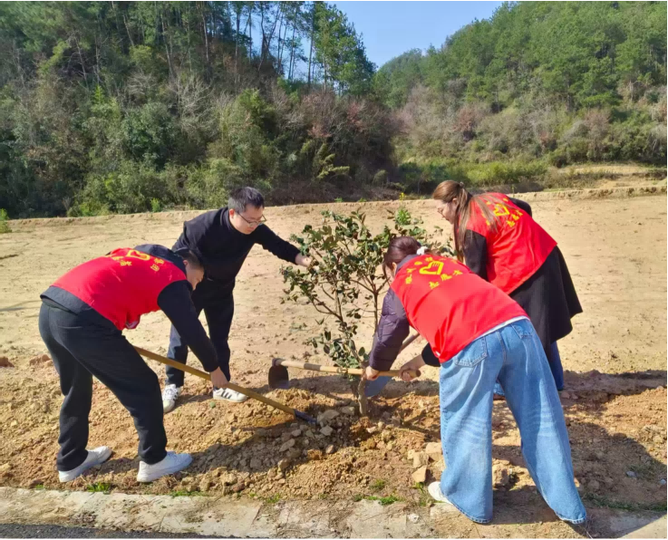 植此青綠  共建家園 ——國(guó)投集團(tuán)開(kāi)展植樹(shù)節(jié)文明創(chuàng)建活動(dòng)
